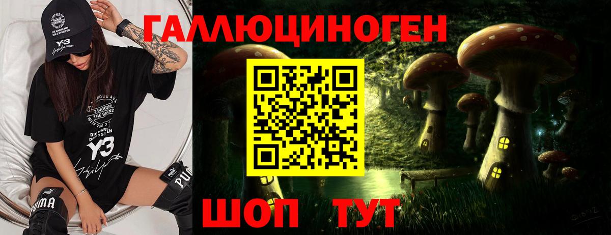 Галлюциногенные грибы Psilocybine cubensis Когалым